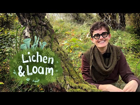 Knitting in the Woods: Lichen & Loam Episode 1
