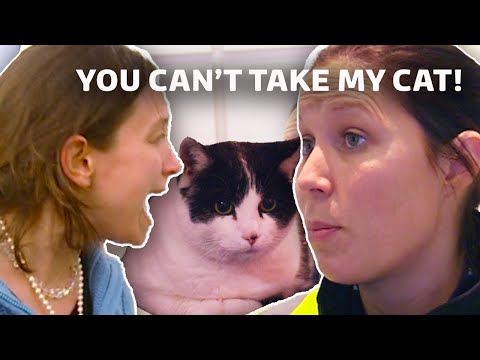 Woman Tries To Smuggle Cat In Hand Luggage | Airline S7 E3 | Our Stories