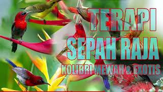 Download lagu SEPAH RAJA | SEPAH RAJA GACOR | MASTERAN SEPAH RAJA | PANCINGAN SEPAH RAJA mp3
