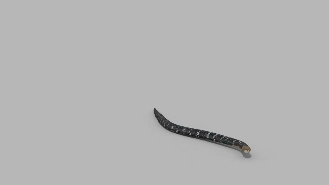 Pro King Cobra Snake - 8k - 3d animated 3D Model