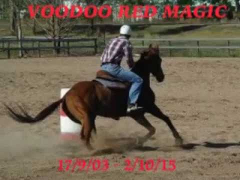 download lagu mp3 mp4 Red Magic Voodoo, download lagu Red Magic Voodoo gratis, unduh video klip Download Red Magic Voodoo Mp3 dan Mp4 Unlimited Gratis