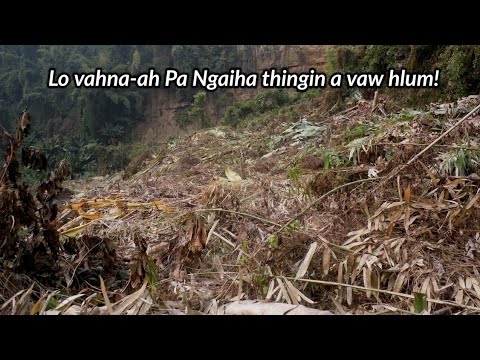 Haw tawh rawh (Ram riahnaa thil tawn)