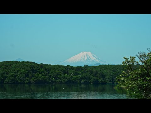 SONY PXW-FX9 Test Footage 4K