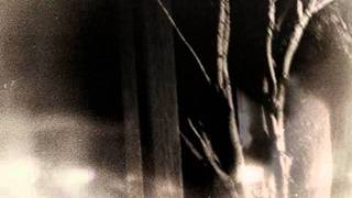Paul Schütze - Rapture of the Skin
