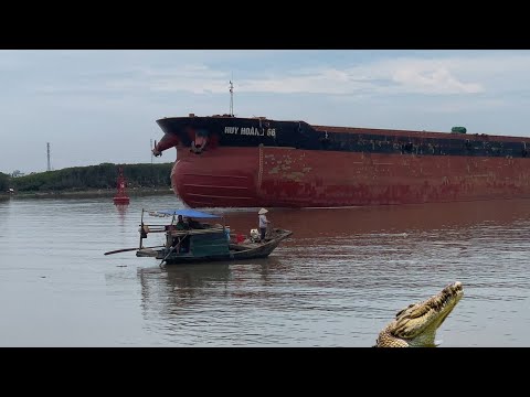 Sand mining fleet at sea.#cargoconnect #ship