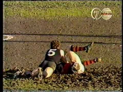 1981 Carlton Vs Essendon Princes park Last 3 Minutes