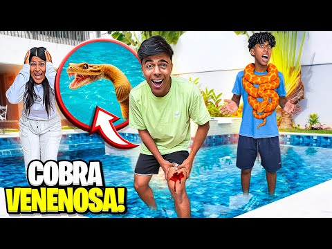 WE FOUND VENOMOUS SNAKES IN THE POOL AT CASA NOVA…😱🐍
