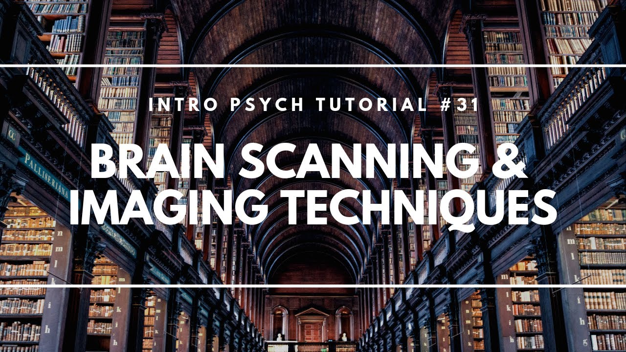 Brain Scanning and Imaging Techniques (Intro Psych Tutorial #31)