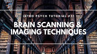 Brain Scanning and Imaging Techniques (Intro Psych Tutorial #31)