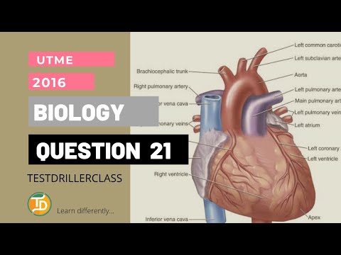 UTME 2016 Biology Question 21