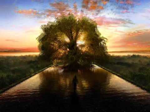 Brendan Perry - The Tree Of Life