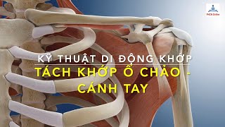 Di động khớp: Tách khớp Ổ chảo - Cánh tay