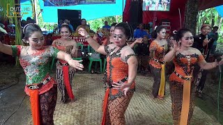 Download lagu SAWIT-ANAKE SOPO - WARNI Cs - WISNU LARAS mp3