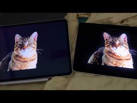 iPad Pro 6th Generation 2023 vs IPad Pro 5th Generation  SCREEN COMPARISON