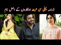 Pehly si mohabbat drama cast real names | sheheryar munawer | Maya Ali | HSY