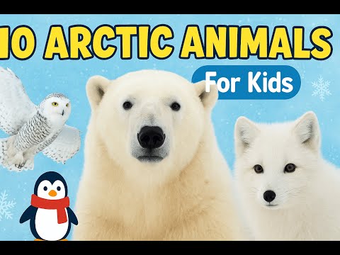 10 Arctic Animals Kids Love-Fast Facts!