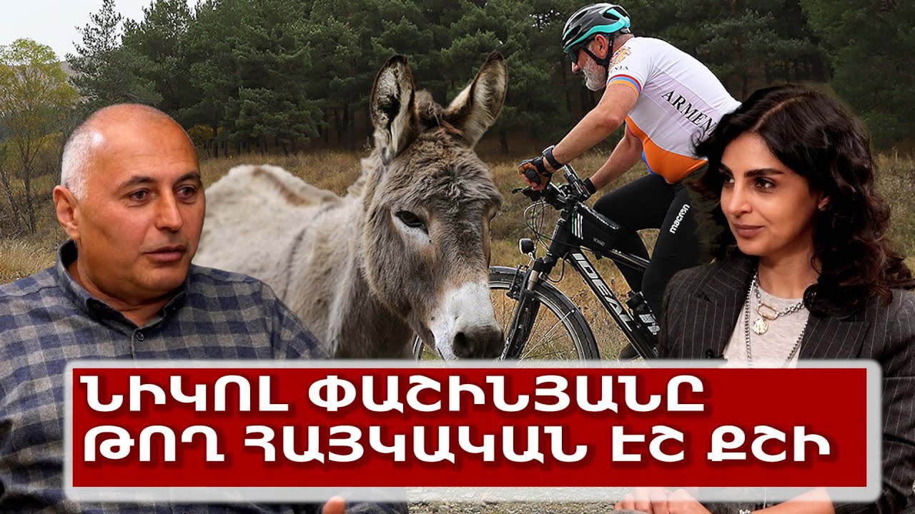 Նիկոլ Փաշինյանը թող հայկական էշ քշի