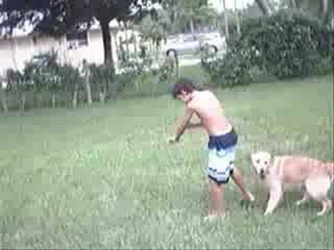 The Sheriff's Revenge