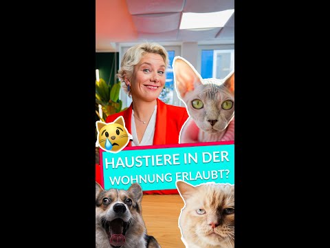 Katze in der Wohnung halten - erlaubt? | Rechtsanwältin Nicole Mutschke