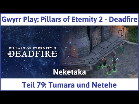 Pillars of Eternity 2 deutsch Deadfire Teil 79 - Tumara und Netehe Let's Play