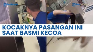 Upaya Pasangan Singapura Ini Basmi Kecoa Jadi Viral, Warganet Merasa Relate