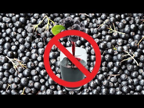 ZAŠTO NE TREBA PRAVITI SOK OD ARONIJE?