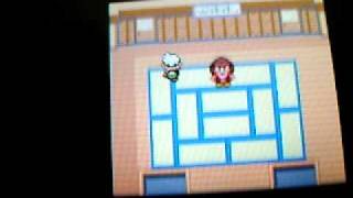 how to get through the fifth gym leaders challenge on pokemon emerald