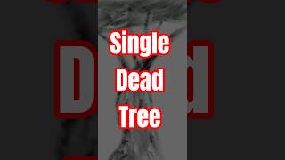 Single Dead Tree #art #danger #digitalartwork #tree #dead #deadtree #dark #oldart #nature #hand #hi