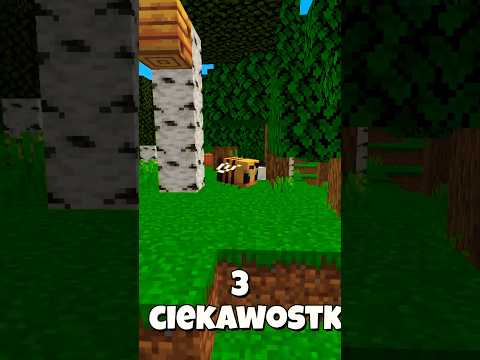 💥 Ciekawostki o Mobach w Minecraft #shorts