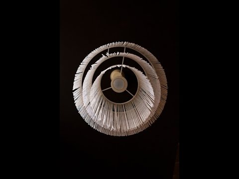 LimesKozmos dr.MijoNikic