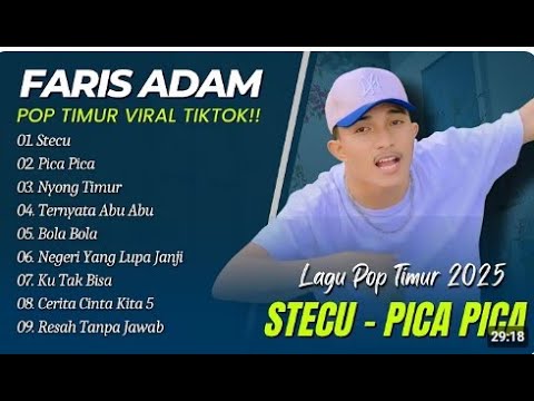 Faris Adam - STECU | Juan Reza - PICA PICA | NYONG TIMUR || LAGU POP TIMUR VIRAL TIKTOK 2025 TERBARU