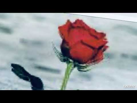 UN HUN Ft. Da Reaper (OFFICIAL AUDIO)