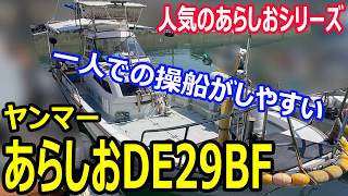 ヤンマー あらしおDE29BF の紹介Youtube動画
