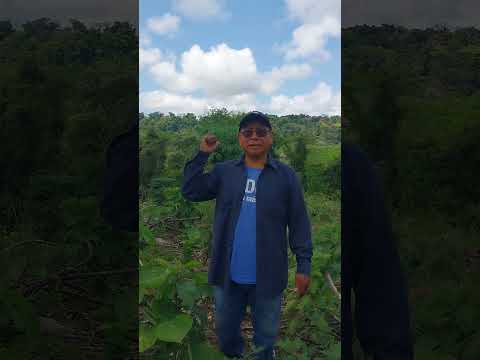 Historia del año 1972 ixcan,quiche guatemala