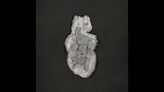Music video thumbnail preview for Heartbreaker (Pat Benatar cover) by aeseaes