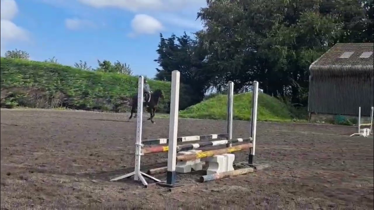 MC Raglan Road (HHS CORNET x SHANNONDALE SARCO) video 1