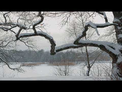 "Tombe la neige", Salvatore Adamo, with lyrics