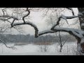 "Tombe la neige", Salvatore Adamo, with lyrics