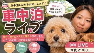 【犬との暮らし】車中泊しながら、ゆるっと雑談ライブ