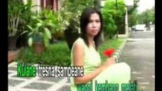 Download lagu tarling manuk jatayu mp3 Download lagu tarling manuk jatayu mp3