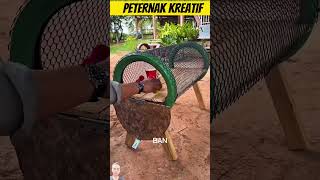 Download lagu Cara membuat Kandang sederhana #peternakan #peternakmillenial #peternakmodern #entok #ayam #bebek mp3 Download lagu Cara membuat Kandang sederhana #peternakan #peternakmillenial #peternakmodern #entok #ayam #bebek mp3