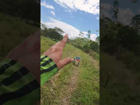 19 sep 2025 granja el canal albania caqueta 1,31pm