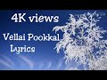 Vellai Pookkal Song With Lyrics வெள்ளை பூக்கள் Kannathil Muthamittal Movie