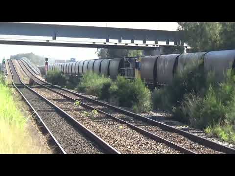At Sandgate NSW Australia on 4/4/2025 a loaded Coal, a passenger & a container train.