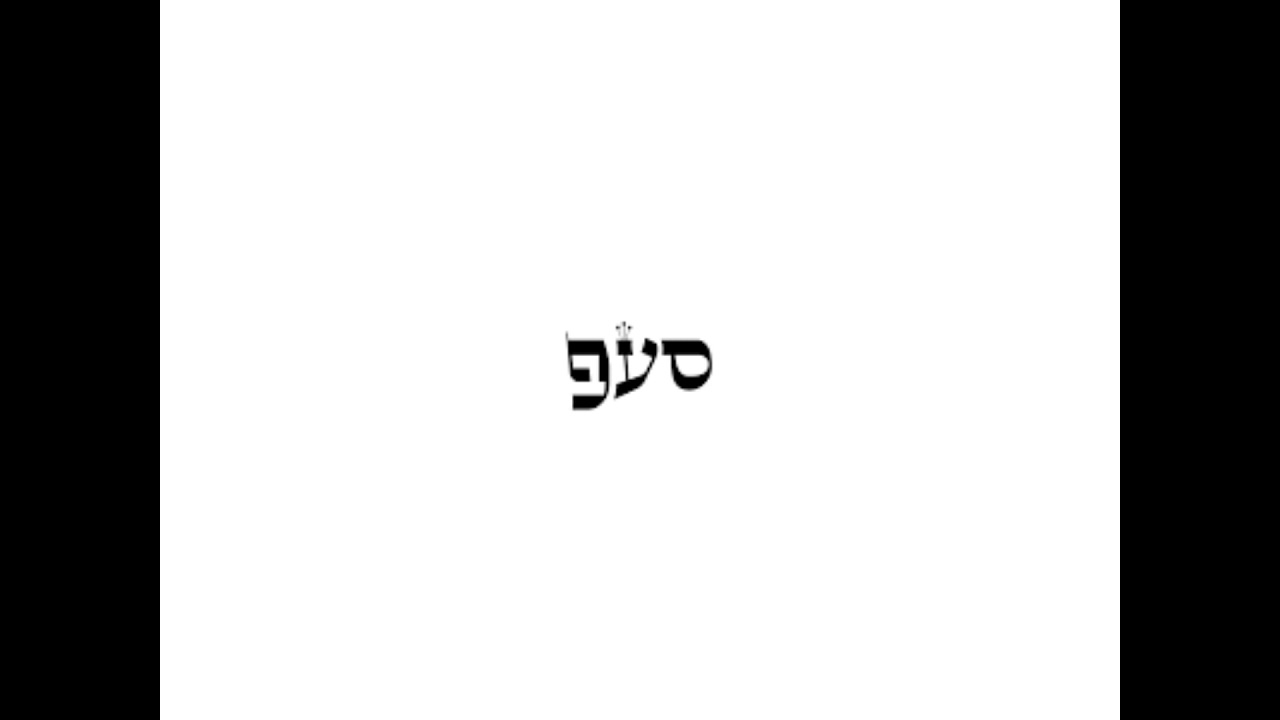 משה דיסון - מ״ה - 26 - סעפ