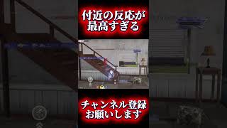 【荒野行動】こういう付近さん沢山増えて欲しい #shots #荒野行動 