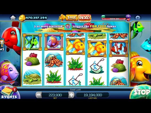 Casino Casino