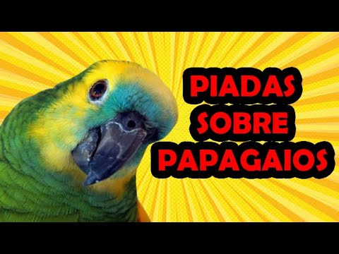 PIADAS SOBRE PAPAGAIOS   HUMORISTA THIAGO DIAS