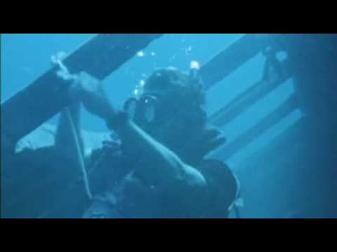 Piranha II The Spawning - Profondo Sinfonico (Stelvio Cipriani)