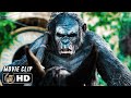 Apes Do Not Want War Scene DAWN OF THE PLANET OF THE APES 2014 Sci Fi Movie CLIP HD